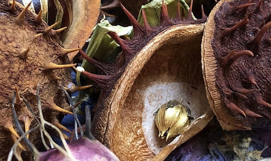 Paasgroetenactie 2023 voor gedetineerden