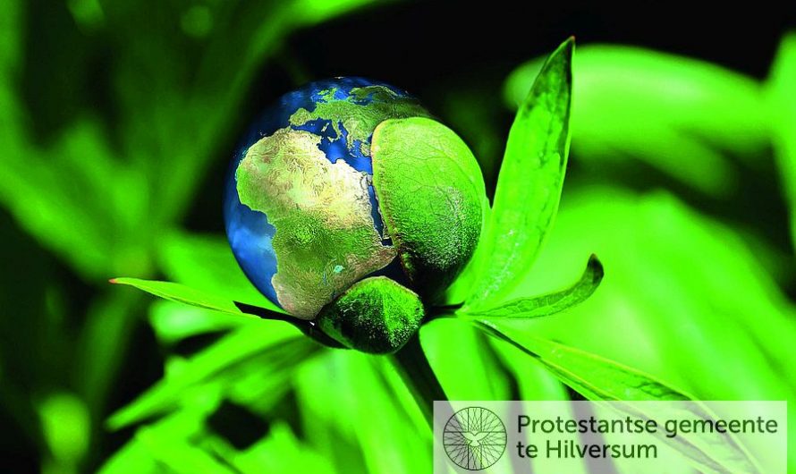 PgH stoot aandelen fossiele industrie af