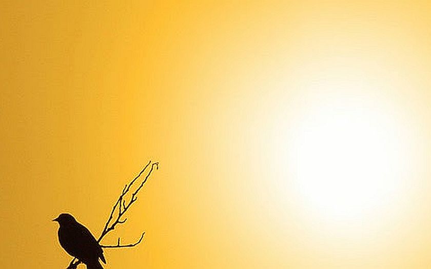 Woensdagochtend gebed weer van start