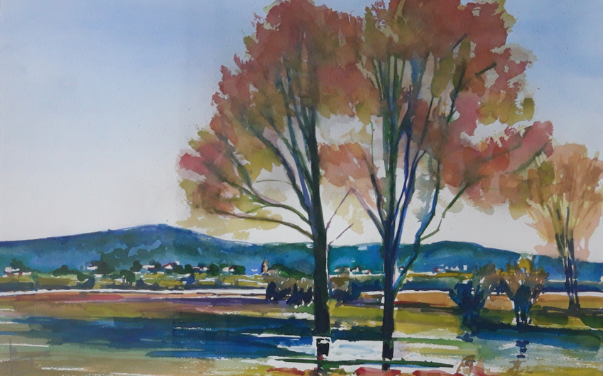 Max Eilander exposeert in De Morgenster