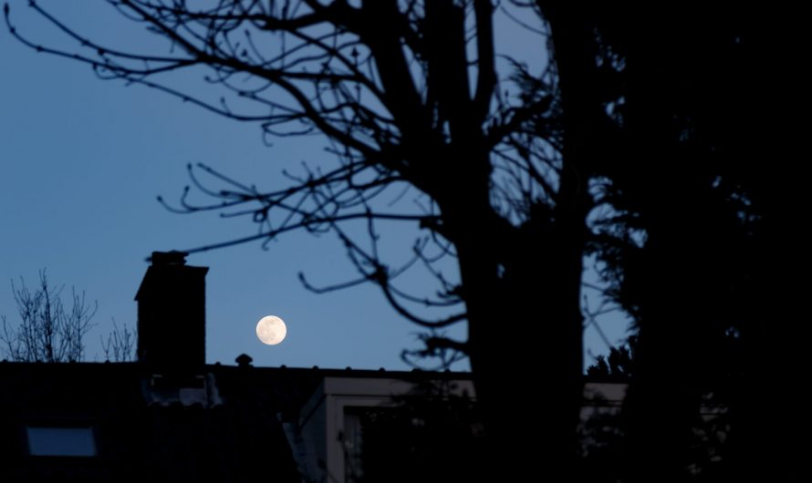 Oecumenische adventsvespers: liederen van hoop