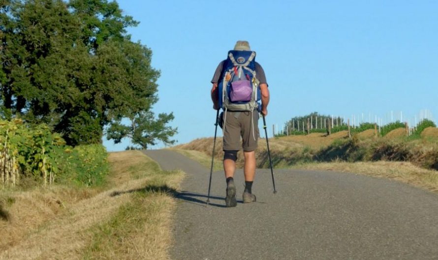 ZinCafé: Rituelen op het witte doek