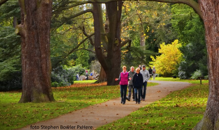 Wandelen met… elkaar