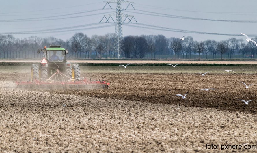 Samen bidden voor groeiseizoen geeft moed