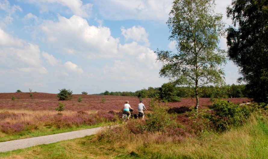 Zomerstop woensdagochtendgebed