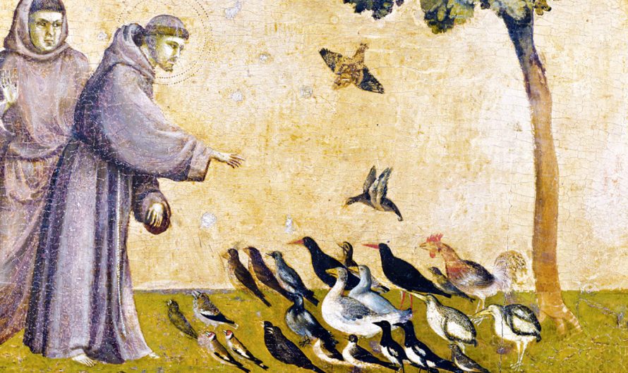 Groene viering en Franciscus