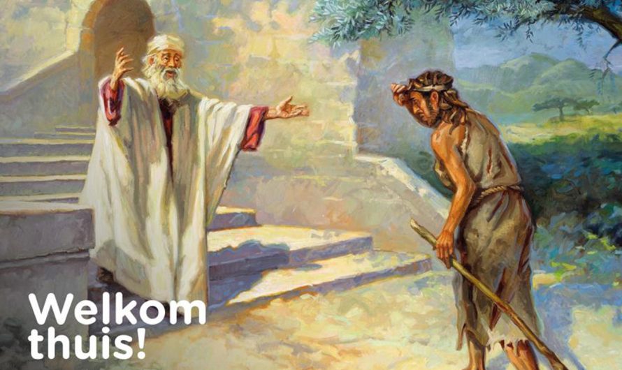 Welkom thuis bij Kanaal7